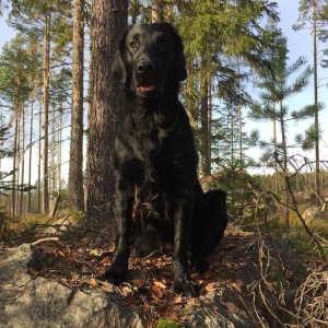 Profilbild på Conny Öberg