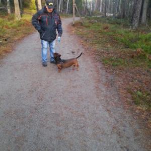 Profilbild på Conny Sjöberg