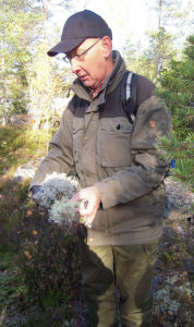 Profilbild på Dan Norlin
