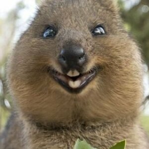 Profilbild på Deez Nutz