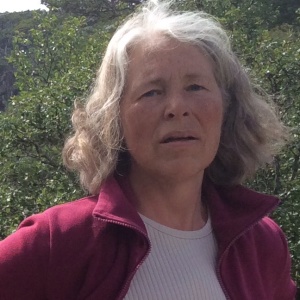 Profilbild på Dordi Svendsen Rasmusson