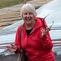 Profilbild på Elaine Lipinsky