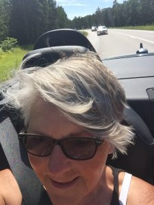 Profilbild på Elisabet Wallkint