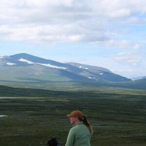Profilbild på Elisabeth Carlsen