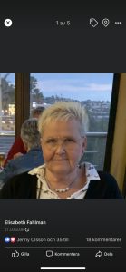 Profilbild på Elisabeth Olsson