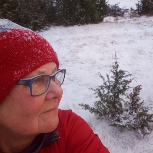Profilbild på Elvy Netzel