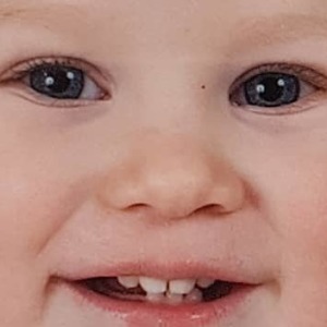 Profilbild på Erik Bergerheim
