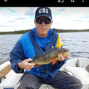Profilbild på Erik Norman
