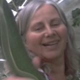 Profilbild på Eva Dahlgren