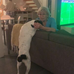 Profilbild på Eva Lundgren