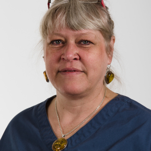 Profilbild på Eva Strömqvist
