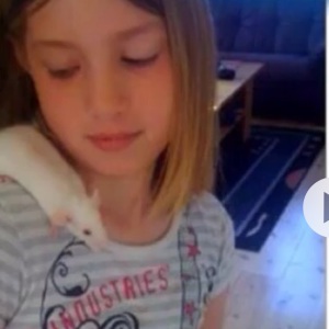 Profilbild på Felicia Niemi Hellblom
