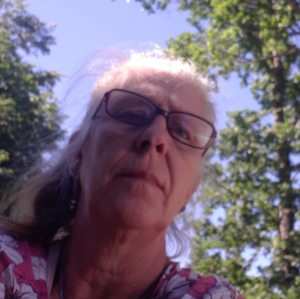 Profilbild på Gudrun Loftbring