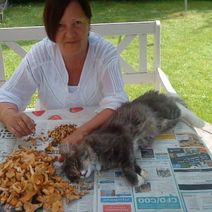 Profilbild på Gunilla Wigstrand