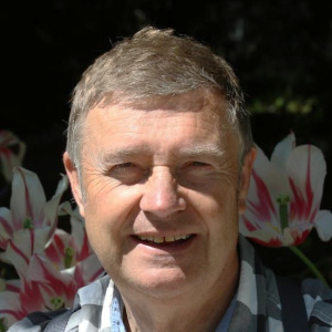 Profilbild på Gunnar Olsson