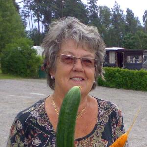 Profilbild på Gunvi Appeby