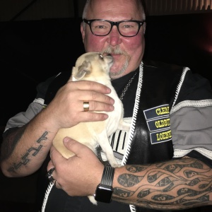 Profilbild på Harley Davidsson