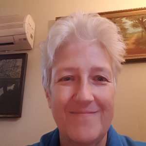 Profilbild på Hillevi Karlsson