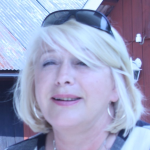 Profilbild på Ilse Wahlroos