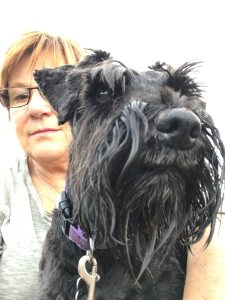Profilbild på Ingalill Lundberg