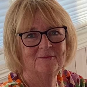 Profilbild på Inge-Britt Aldingsson