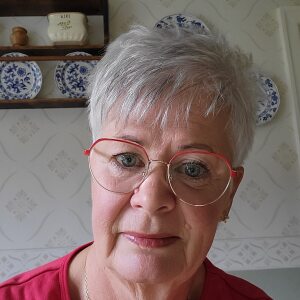 Profilbild på Ingela Andersson Dahlborg