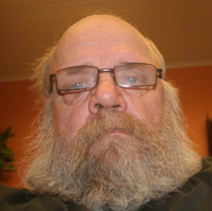 Profilbild på Ingemar Lingman