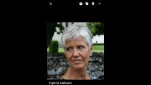 Profilbild på Ingemo Karlsson