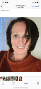 Profilbild på Inger Blomgren