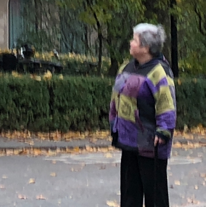 Profilbild på Inger Hultqvist