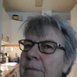 Profilbild på Inger Johansson