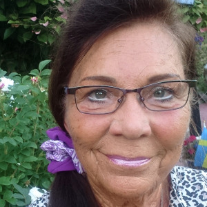 Profilbild på Ingmarie Hallbrink-Ström