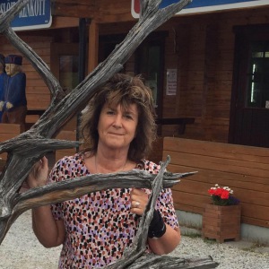 Profilbild på Iren Andersson