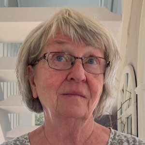 Profilbild på Irene Lizell