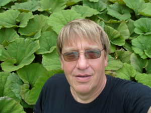 Profilbild på Jan Mellberg
