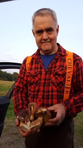 Profilbild på Janne Salomonsson