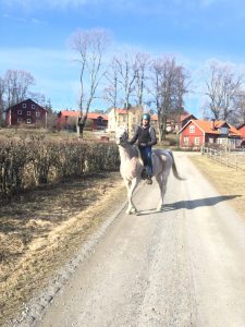 Profilbild på Joakim Grambo