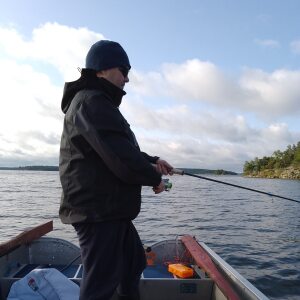 Profilbild på Johan Alavesa