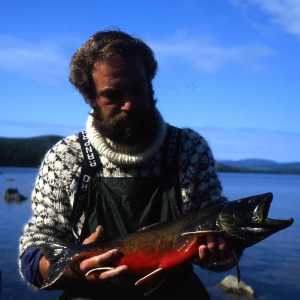 Profilbild på Johan Hammar