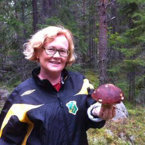 Profilbild på Kaarina Stenvall