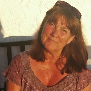 Profilbild på Karin Larsson-Holm