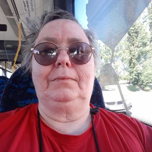 Profilbild på Karin Nilsson