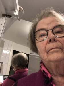 Profilbild på Karin Tillenius Norburg