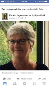 Profilbild på Kerstin Ingvarsson