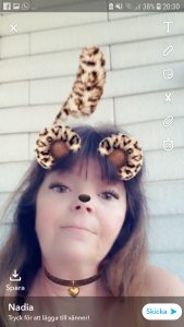 Profilbild på Kerstin Kronlund