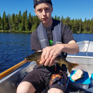 Profilbild på Kevin Lindeborg