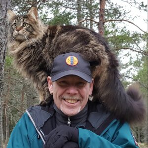 Profilbild på Krister Ivehult