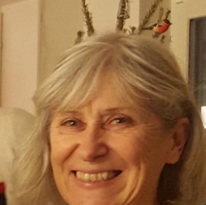 Profilbild på Kristina Grönholm