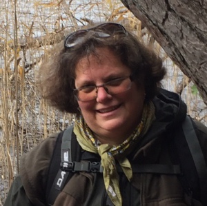 Profilbild på Laila Larsson