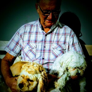Profilbild på Lars-Gunnar Stenholm